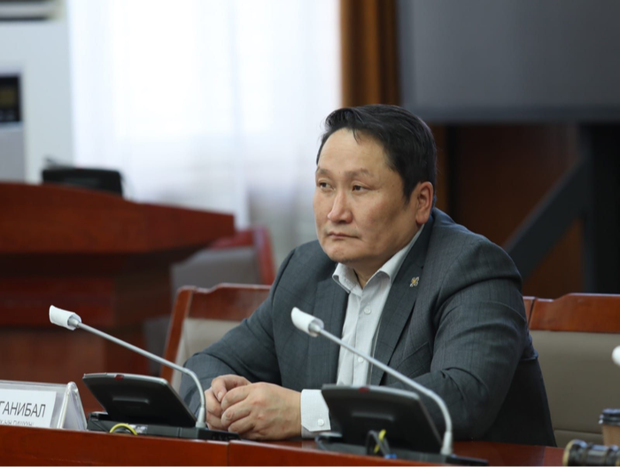 Н.Ганибалыг АН-ын Ерөнхий нарийн бичгийн даргын албан тушаалаас нь түдгэлзүүлжээ